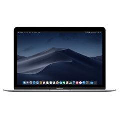 Macbook 12 256GB (2017)